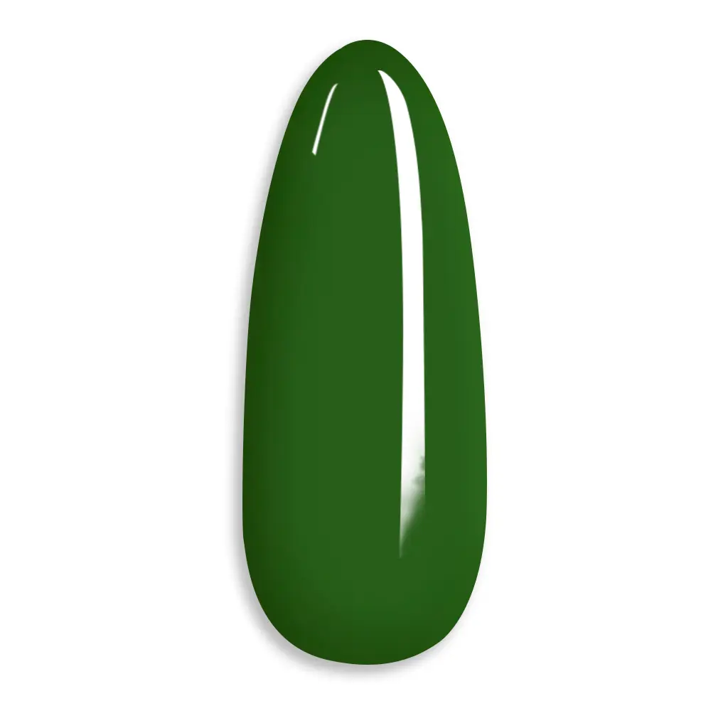 Glamnailsprofessional Gezondheid & beauty > Nagelverzorging > Nagelgel One Step Gel | Forest Moss